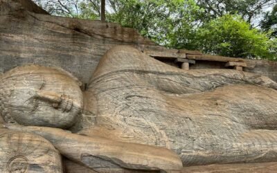 Temples & Tea Trails